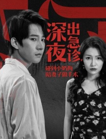 短剧《深夜出急诊，碰到小奶狗陪妻子做手术（1-50集）》全集免费观看-第1张图片-力界网