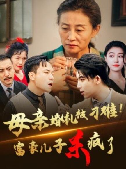短剧《母亲婚礼被刁难！首富儿子杀疯了（1-33集）》全集免费在线观看-第1张图片-力界网