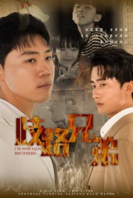 短剧《歧路兄弟（1-63集）》全集免费在线观看-第1张图片-力界网