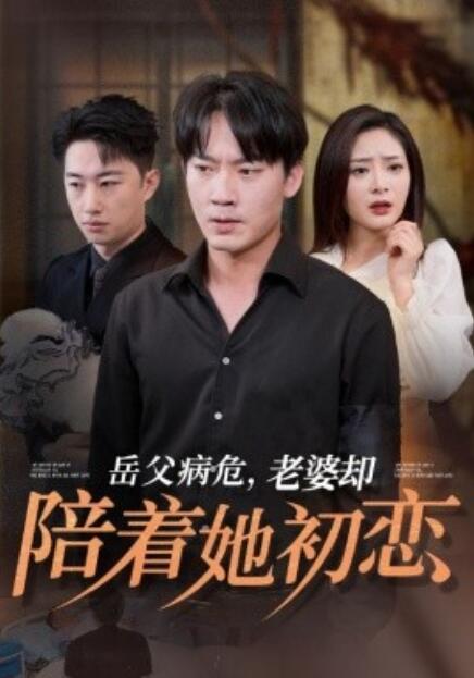 短剧《岳父病危，老婆却陪着她初恋（1-31集）》全集免费在线观看-第1张图片-力界网