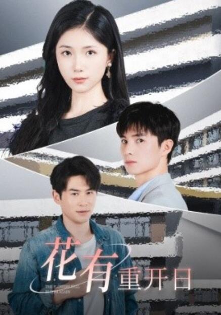 短剧《花有重开日（1-41集）》全集免费在线观看-第1张图片-力界网