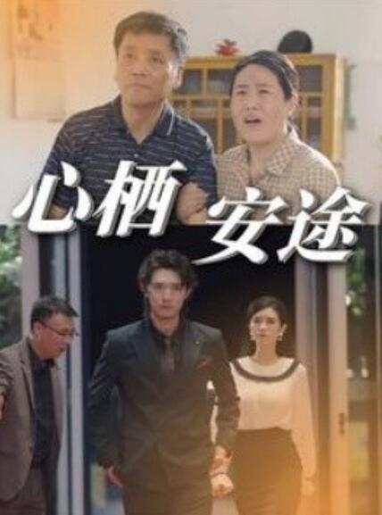 短剧《心栖安途（1-70集）》全集免费在线观看-第1张图片-力界网