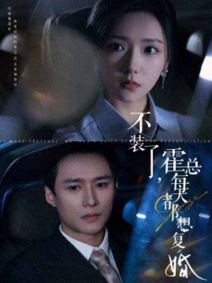 短剧《不装了，霍总每天都想复婚（1-96集）》全集免费在线观看-第1张图片-力界网
