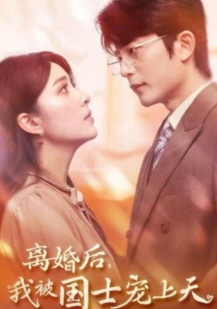 短剧《离婚后，我被国士宠上天（1-64集）》全集免费在线观看-第1张图片-力界网