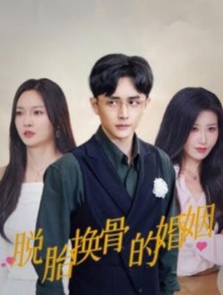 短剧《脱胎换骨的婚姻（1-40集）》全集免费在线观看-第1张图片-力界网