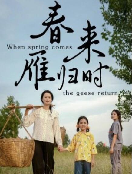 短剧《春来雁归时（1-61集）》全集免费在线观看-第1张图片-力界网
