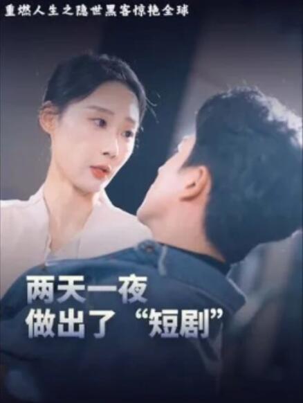 短剧《重燃人生之隐世黑客惊艳全球》高清全集免费在线观看-第1张图片-力界网