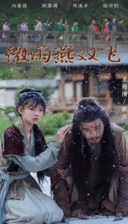 短剧《微雨燕双飞（1-60集）》全集免费在线观看-第1张图片-力界网