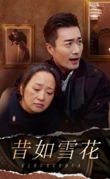短剧《昔如雪花（1-30集）》全集免费在线观看-第1张图片-力界网