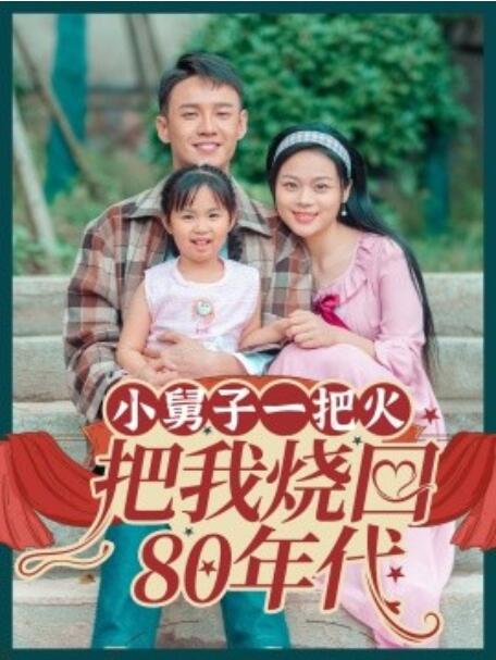 短剧《小舅子一把火把我烧回80年代（1-100集）》全集免费在线观看-第1张图片-力界网