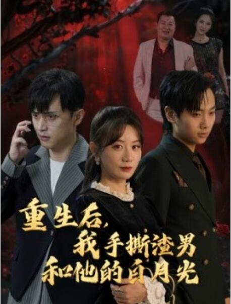 短剧《重生后，我手撕渣男和他的白月光（1-32集）》全集免费在线观看-第1张图片-力界网