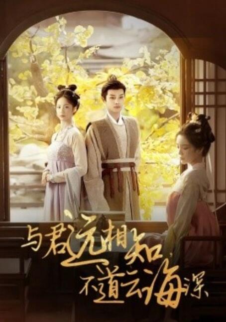 短剧《与君远相知，不道云海深（1-30集）》全集免费在线观看-第1张图片-力界网
