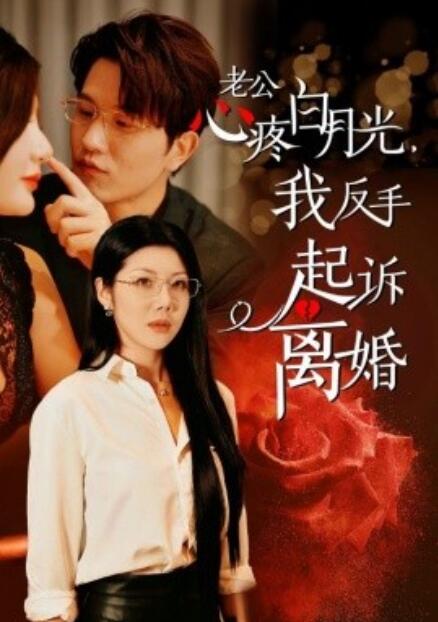 短剧《老公心疼白月光，我反手起诉离婚（1-42集）》全集免费在线观看-第1张图片-力界网