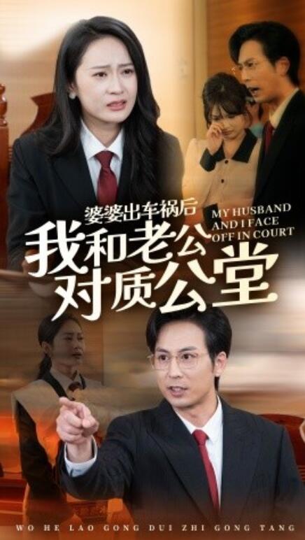 短剧《婆婆出车祸后我和老公对质公堂（1-35集）》全集免费在线观看-第1张图片-力界网