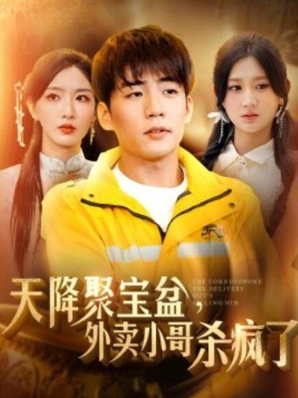 短剧《我有一个聚宝盆（天降聚宝盆外卖小哥杀疯了）81集》全集免费在线观看-第1张图片-力界网
