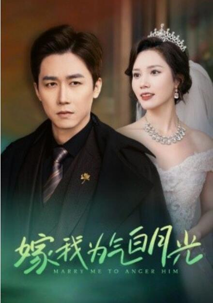 短剧《嫁我为气白月光（1-30集）》全集免费在线观看-第1张图片-力界网