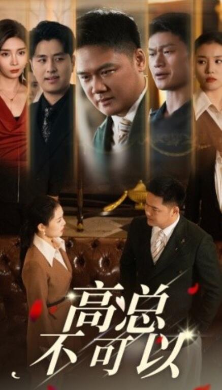 短剧《高总不可以（1-45集）》全集免费在线观看-第1张图片-力界网