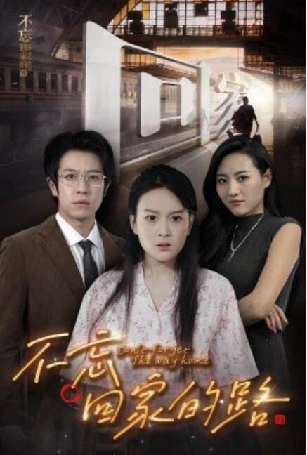 短剧《不忘回家的路（1-61集）》全集免费在线观看-第1张图片-力界网