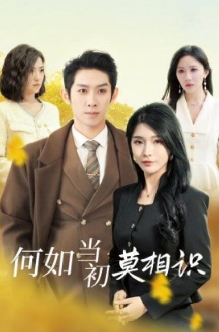 短剧《何如当初莫相识（1-36集）》全集免费在线观看-第1张图片-力界网