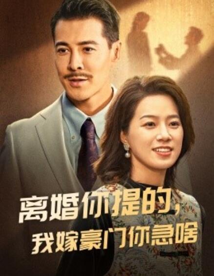 短剧《离婚你提的，我嫁豪门你急啥（1-62集）》全集免费在线观看-第1张图片-力界网