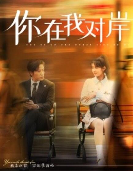 短剧《你在我对岸（1-31集）》全集免费在线观看-第1张图片-力界网