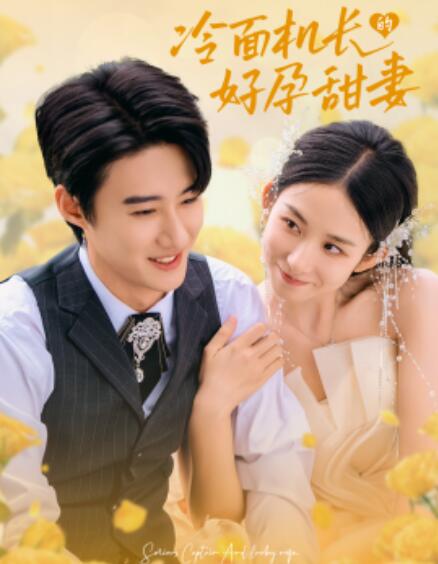短剧《冷面机长的好孕甜妻（1-78集）》全集免费在线观看-第1张图片-力界网