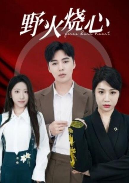 短剧《野火烧心（1-69集）》全集免费在线观看-第1张图片-力界网