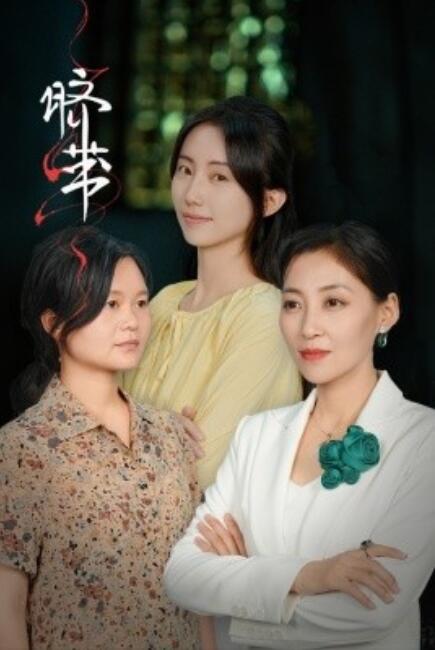 短剧《脐带（1-62集）》全集免费在线观看-第1张图片-力界网