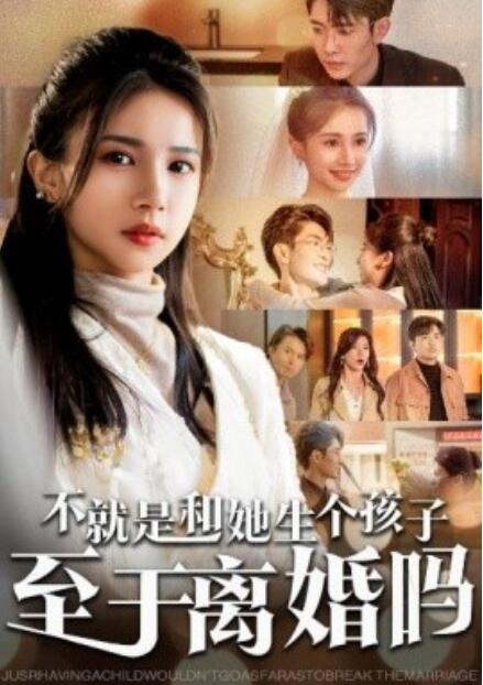 短剧《不就是和她生个孩子至于离婚吗（1-30集）》全集免费在线观看-第1张图片-力界网