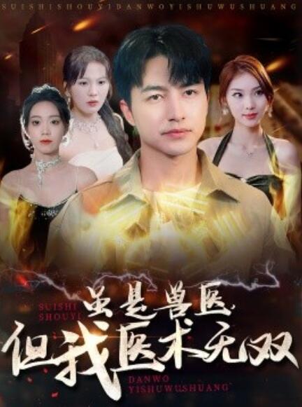 短剧《虽是兽医，但我医术无双（1-63集）》全集免费在线观看-第1张图片-力界网