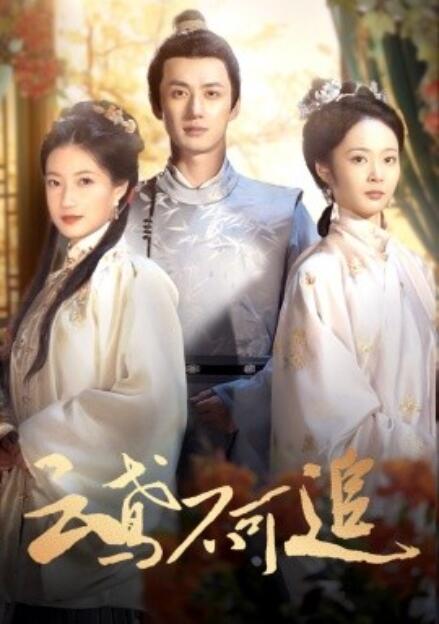 短剧《云鸢不可追（1-46集）》全集免费在线观看-第1张图片-力界网