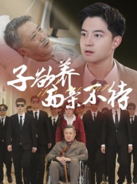 短剧《子欲养而亲不待（1-70集）》全集免费在线观看-第1张图片-力界网