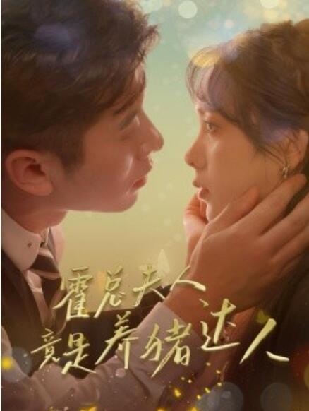 短剧《霍总夫人竟是养猪达人（1-65集）》全集免费在线观看-第1张图片-力界网