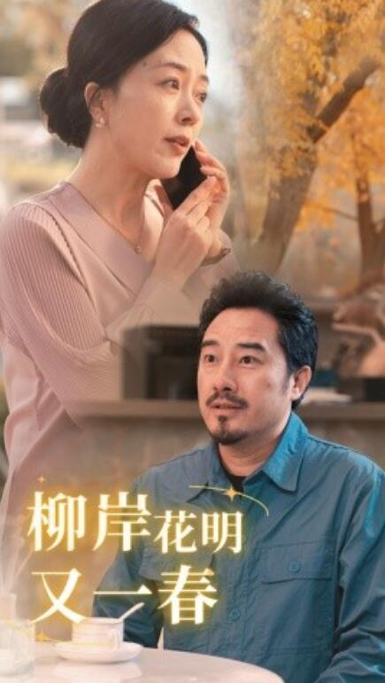 短剧《柳暗花明又一春（1-40集）》全集免费在线观看-第1张图片-力界网