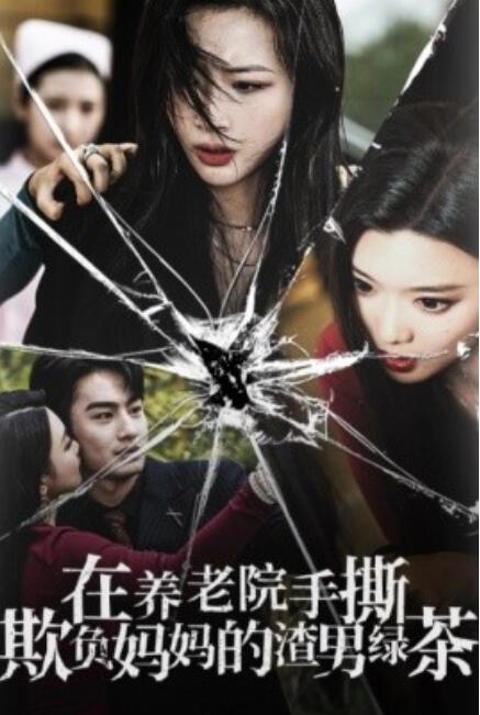 短剧《在养老院手撕欺负妈妈的渣男绿茶（1-26集）》全集免费在线观看-第1张图片-力界网