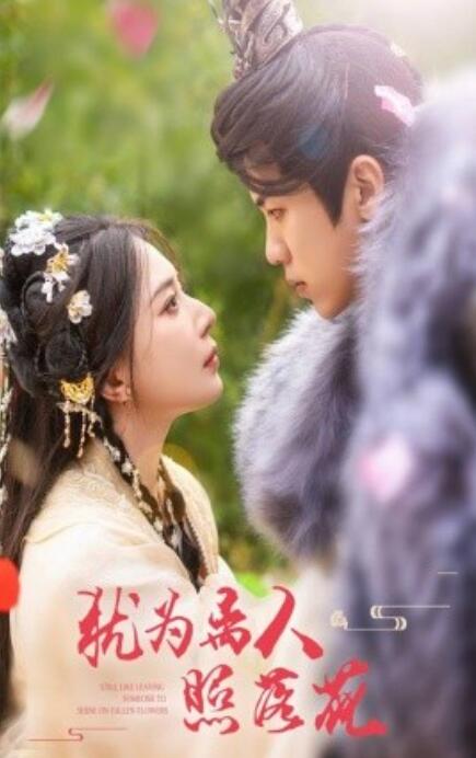 短剧《犹为离人照落花（1-60集）》全集免费在线观看-第1张图片-力界网