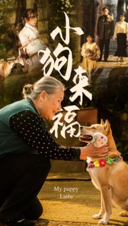 短剧《小狗来福（1-30集）》全集免费在线观看-第1张图片-力界网