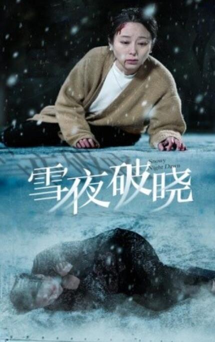短剧《雪夜破晓（1-36集）》全集免费在线观看-第1张图片-力界网
