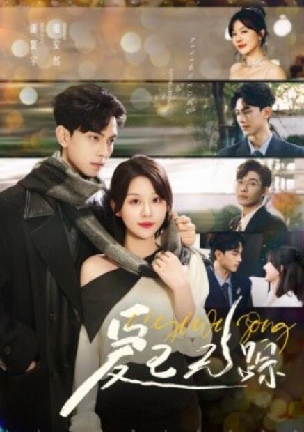 短剧《爱已无踪（1-35集）》全集免费在线观看-第1张图片-力界网