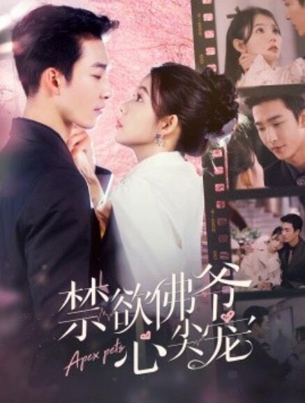 短剧《禁欲佛爷心尖宠（1-101集）》全集免费在线观看-第1张图片-力界网