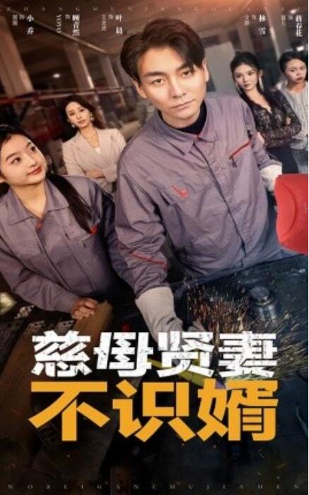 短剧《慈母贤妻不识婿（1-45集）》全集免费在线观看-第1张图片-力界网