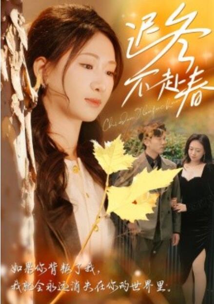 短剧《迟冬不赴春（1-56集）》全集免费在线观看-第1张图片-力界网
