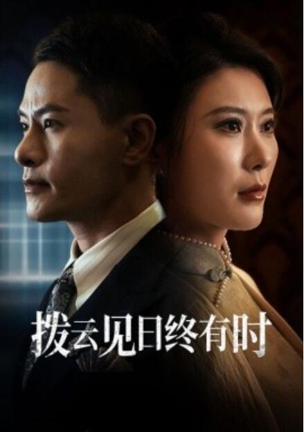 短剧《拨云见日终有时（1-30集）》全集免费在线观看-第1张图片-力界网