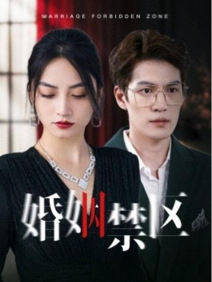 短剧《婚姻禁区（1-60集）》全集免费在线观看-第1张图片-力界网