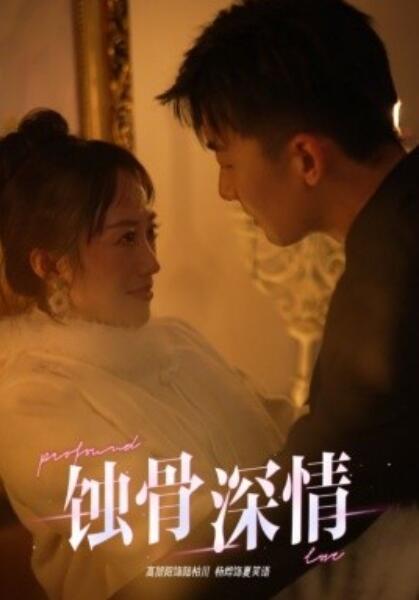 短剧《蚀骨深情（1-54集）》全集免费在线观看-第1张图片-力界网