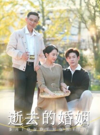 短剧《逝去的婚姻（1-60集）》全集免费在线观看-第1张图片-力界网