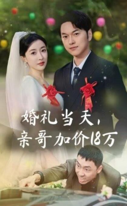 短剧《婚礼当天，亲哥加价18万（1-36集）》全集免费在线观看-第1张图片-力界网