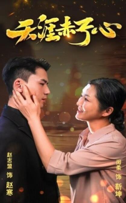 短剧《天涯赤子心（1-69集）》全集免费在线观看-第1张图片-力界网