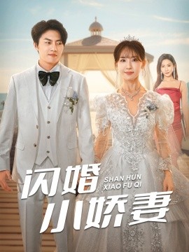 短剧《闪婚小娇妻 (2024)》全集免费在线观看-第1张图片-力界网