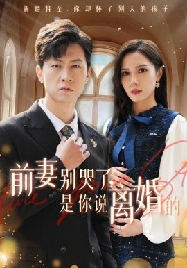 短剧《前妻别哭了，是你说离婚的 (2024)》全集免费在线观看-第1张图片-力界网